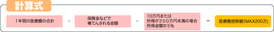 医療費控除の計算式