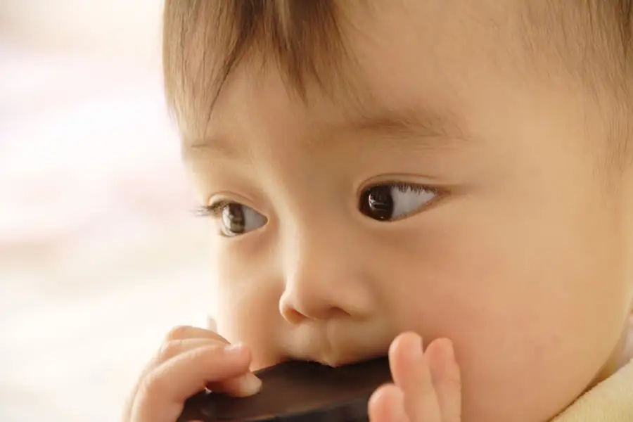 妊娠中の歯科治療