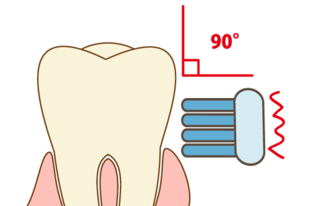 歯磨きのやり方