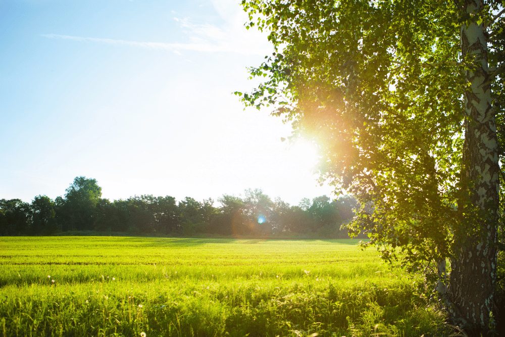 【生活習慣】どう見直す?歯周病を予防するための習慣